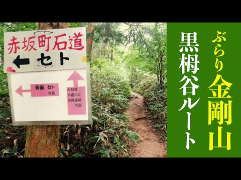 力道山がいた 力道山 / 怒涛の男 (Teichiku, GM-9003, LP) – TICRO MARKET