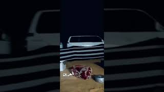 هجيني شمالي #شمر