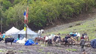 This is Himalayan Life | Ep-272 | Most peaceful And Relaxing Nepali Village Life | VillageLifeNepal