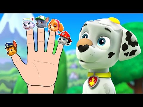 Paw Patrol Finger Family Cartoon Song Nursery Rhymes You Paw Patrol Finger Family