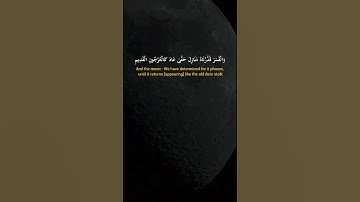 وَآيَةٌ لَّهُمُ اللَّيْلُ نَسْلَخُ مِنْهُ النَّهَارَ  #ياسر_الدوسري #سورة_يس