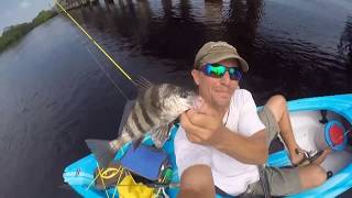 Bait inspires the catch -