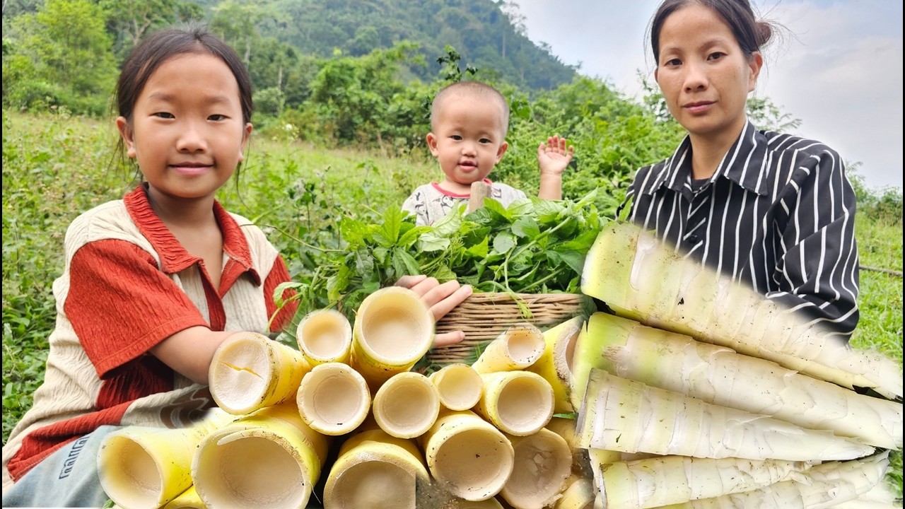 My mother went into the forest to look for bamboo shoots. - YouTube