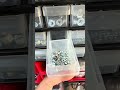Deez nuts are all organized!! Mechanic sanity 101 #mechanic #brantford