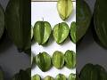 Important facts about Star Fruit#camrakh#carambola #studyforcompetitive #pleasesubscribe