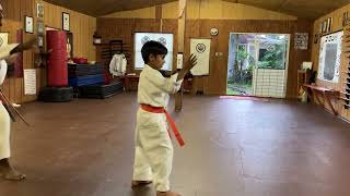 KYOSHI ANTHONY FERGUSON 8TH DEGREE BLACK BELT SHORIN RYU KARATE & STUDENT PERFORM PINAN SHODAN.