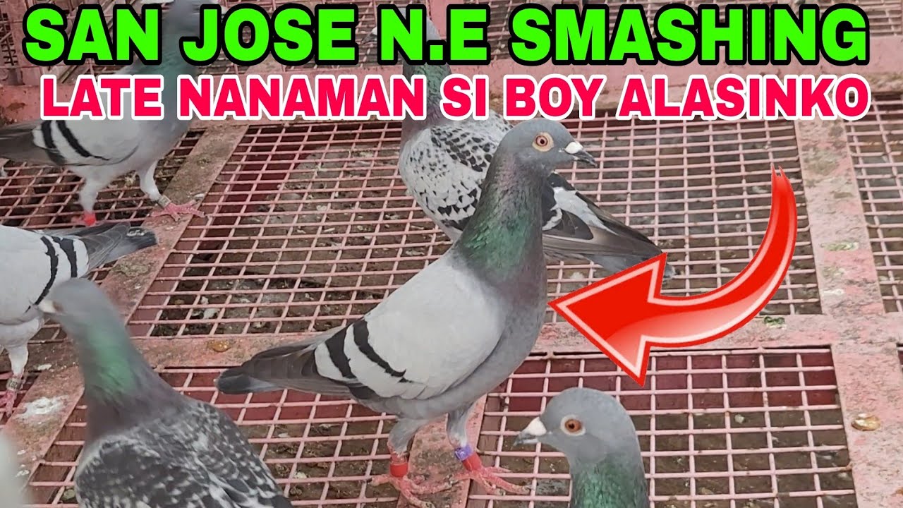 SAN JOSE N. ECIJA SMASHING / LATE NANAMAN NAKAUWI SI BOY ALASINKO #benchsison #longhairtv