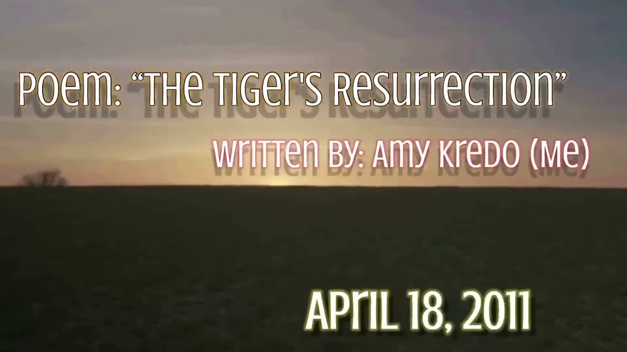 Poem: “The Tiger’s Resurrection”  Written by:Amy Kredo