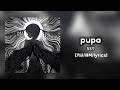 なとり - pupa [가사/해석/lyrics]