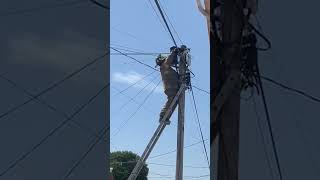 Firefighter Rescues Kitten Stranded On Power Line