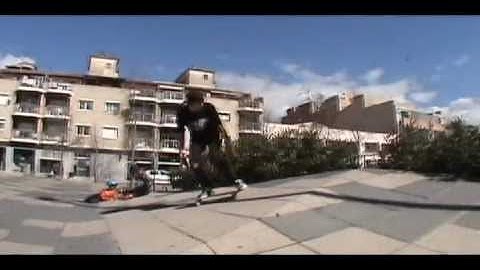 [MONKEYS]  MARKLEI MARTIN