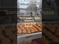 donut factory #donuts #donutsmp #donutreview #lifeisbutadream #sydney #Australia