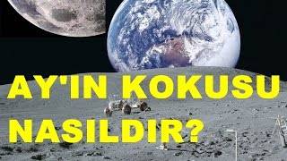 Ay kokusu zehirler mi ?