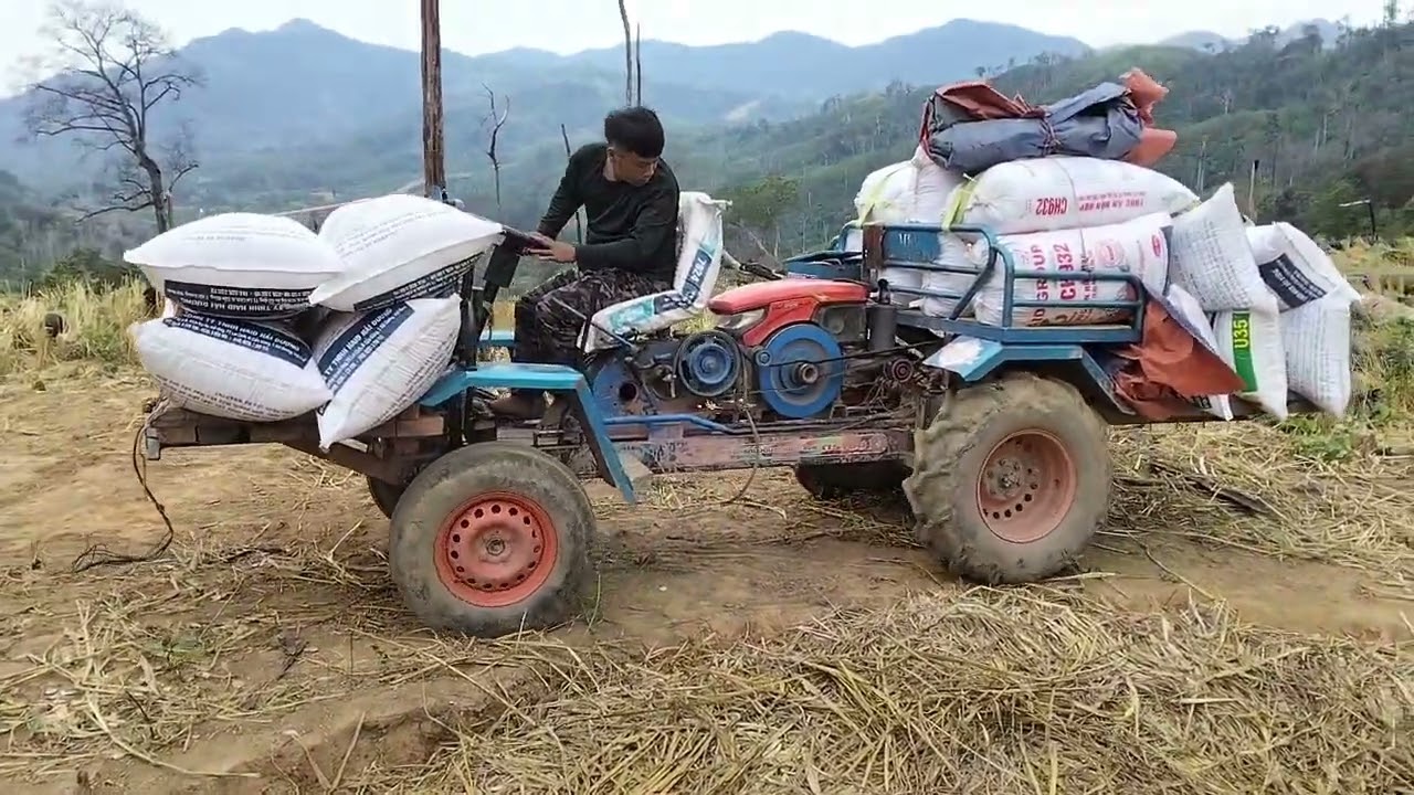 15 พฤศจิกายน ค.ศ. 2025tabtom thaujnplejpemteb