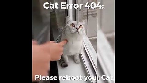 Cat error 404