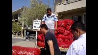 Biber Satan Arık Market Maraş