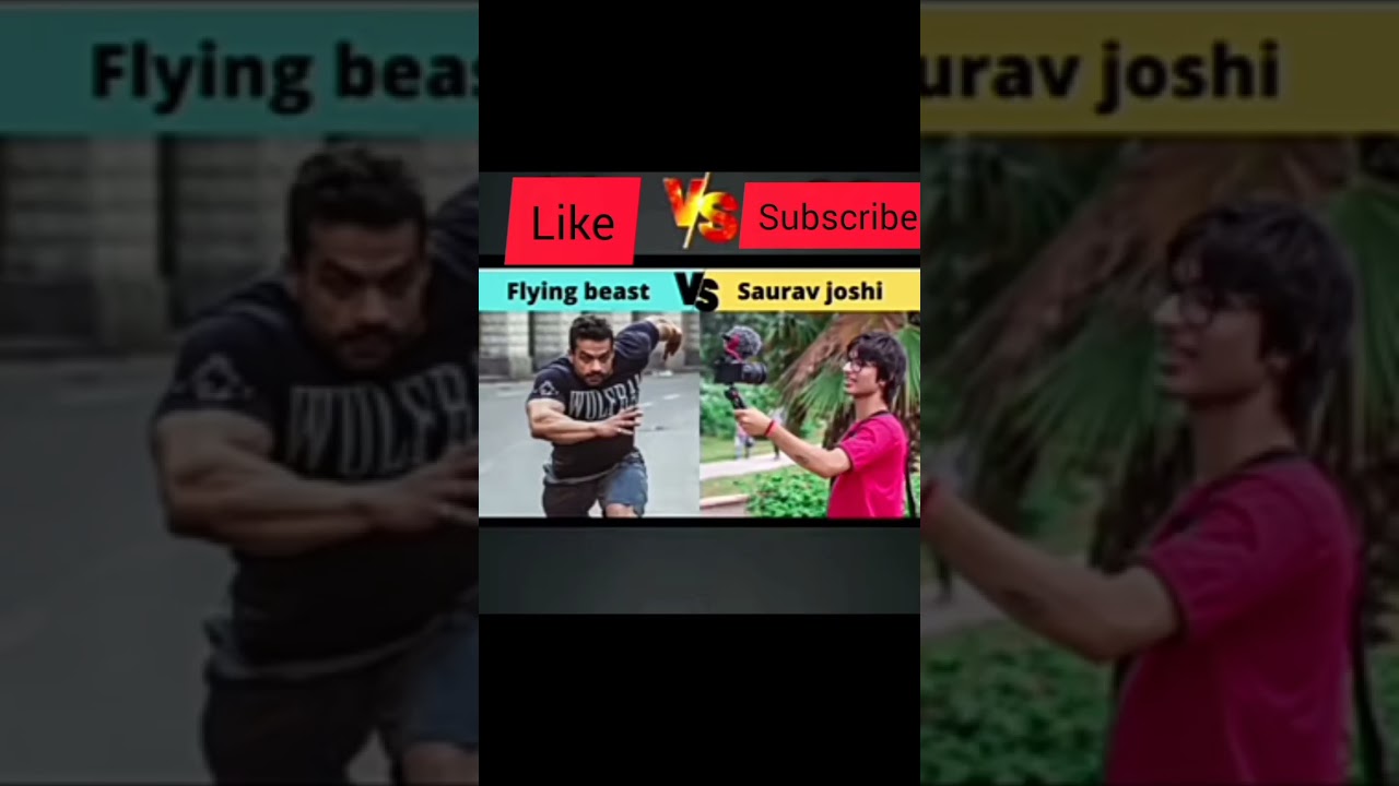 flying beast vs sourav Joshi vlogs 