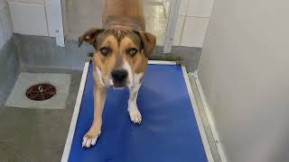 acs A688190