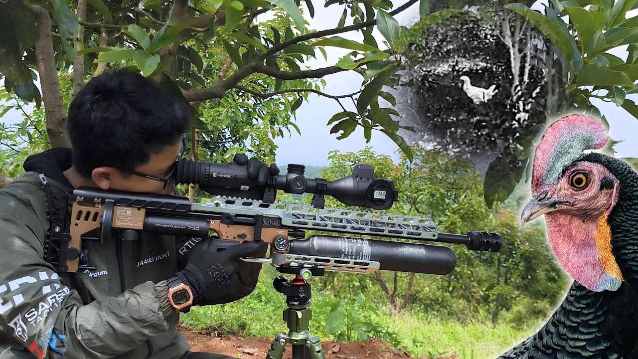 Лучшая охота на кур в моей жизни | Снайперы с пневматическим оружием