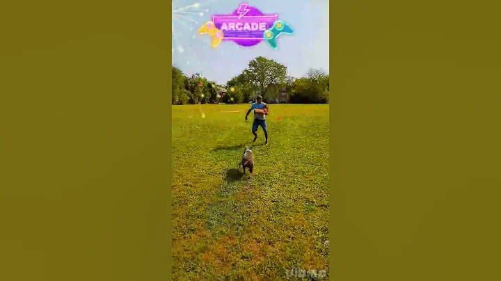 IVY CHASE & BITE MAN