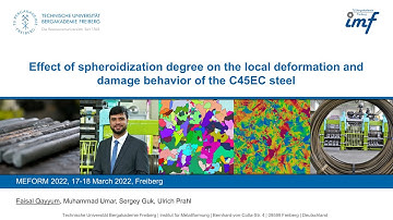 Using DAMASK for modeling multiphase steels to understand local deformation and damage