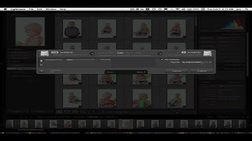 Lightroom 3 Import