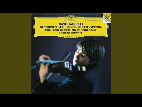 David Garrett, Alexander Markovich & Ludwig van Beethoven - Beethoven: Violin Sonata No. 5 in F Major, Op. 24 "Spring": I. Allegro