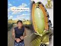 هذا من جده يبغى يزرع بقر