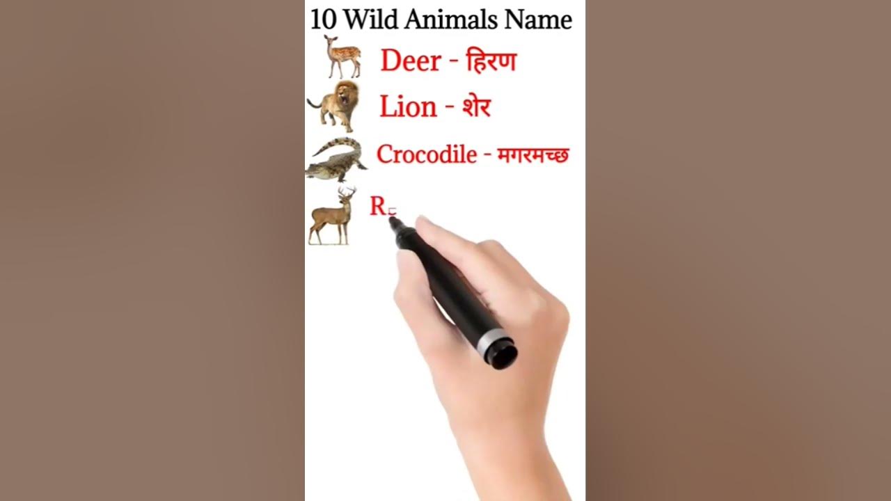 10 Wild Animals Name In Hindi And English 10 10-wild-animals-name-in-hindi-and-english-10