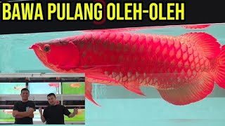 Download Lagu BAWA PULANG OLEH-OLEH MP3