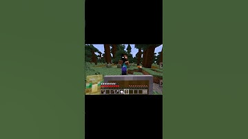 entity 303 vs curse herobrine #tweening #shortsfeed #minecraft