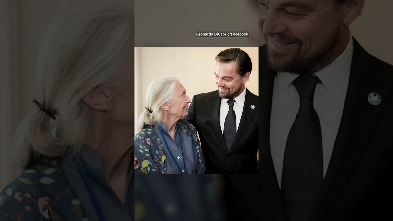 Leonardo DiCaprio pays tribute to ‘dear friend’