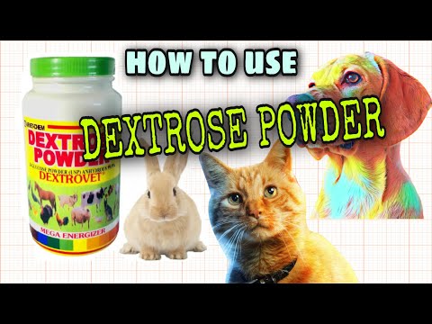 HOW TO USE DEXTROSE POWDER AND ITS BENEFITS TO PETS #dextrosepowder