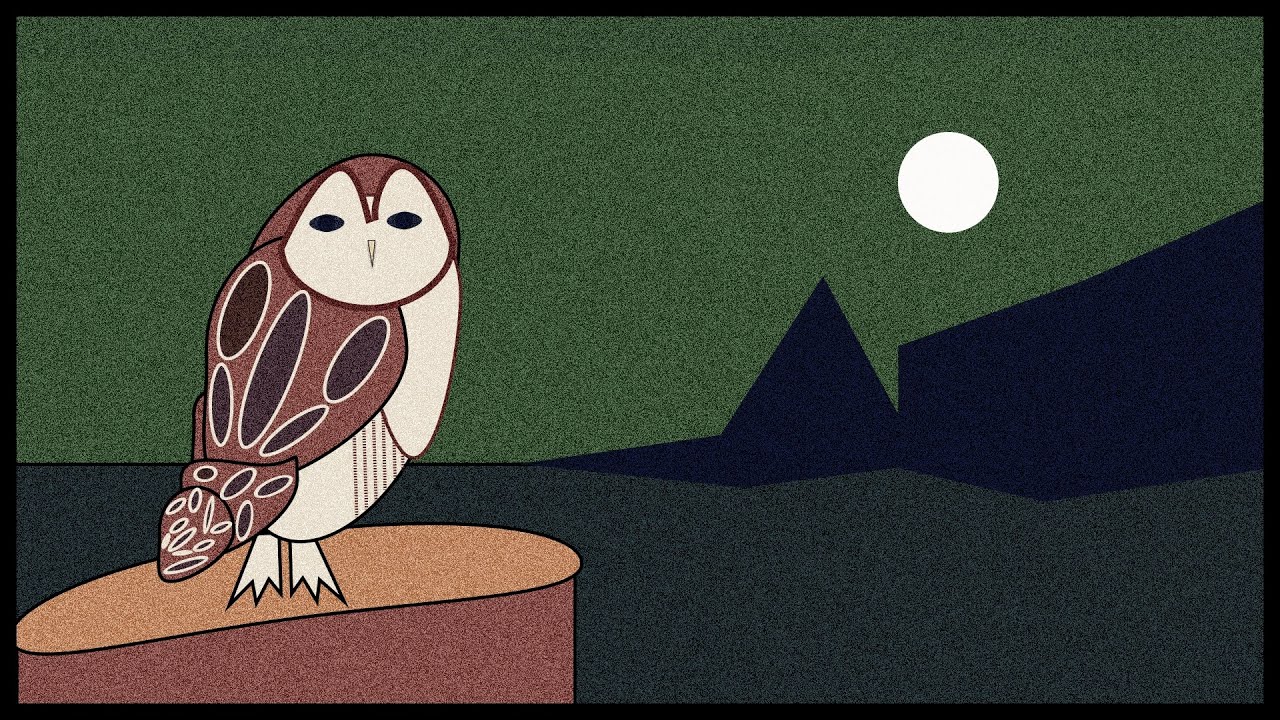 Confusions “Barn Owl” (Official Music Video) 