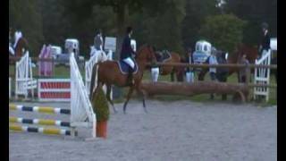 CCE au  Ormes