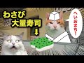ワサビ大量に乗せてくる寿司屋がイヤすぎる【猫アニメ】【コント】