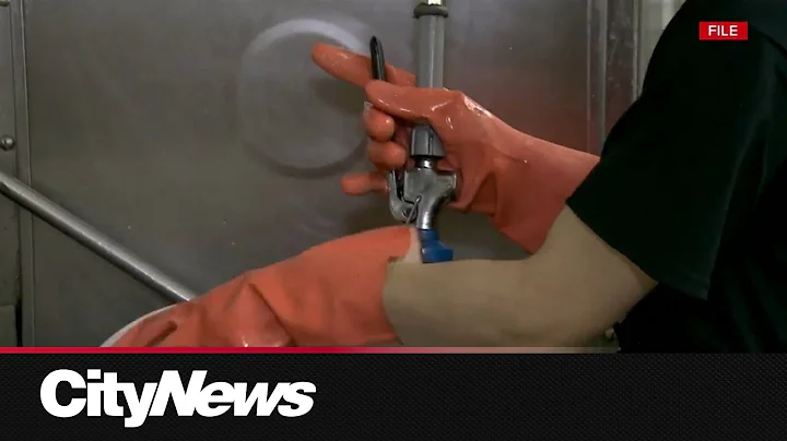 Alberta NDP pitch minimum wage increase as living wage estimates rise