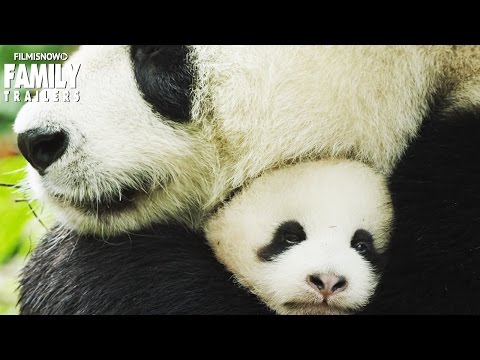 meet-the-cutest-panda-cubs-"ya-ya-&-mei-mei"-from-disneynature's-born-in-china