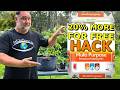 Potting Mix Trick: Save Money NOW!