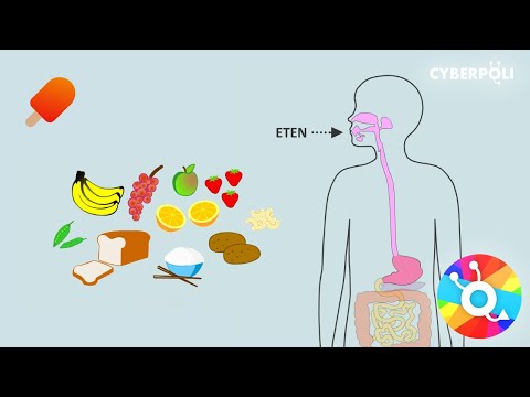 Video: Hoe is diabetes beide geneties en nie geneties nie?