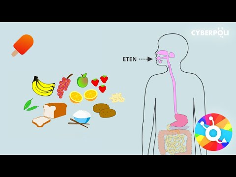 Video: Diabetespillen Versus Insuline: Wat U Moet Weten?