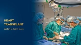 Could heart transplants become a thing of the past