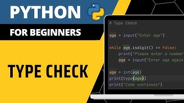 Python For Beginners - Type Check Explained