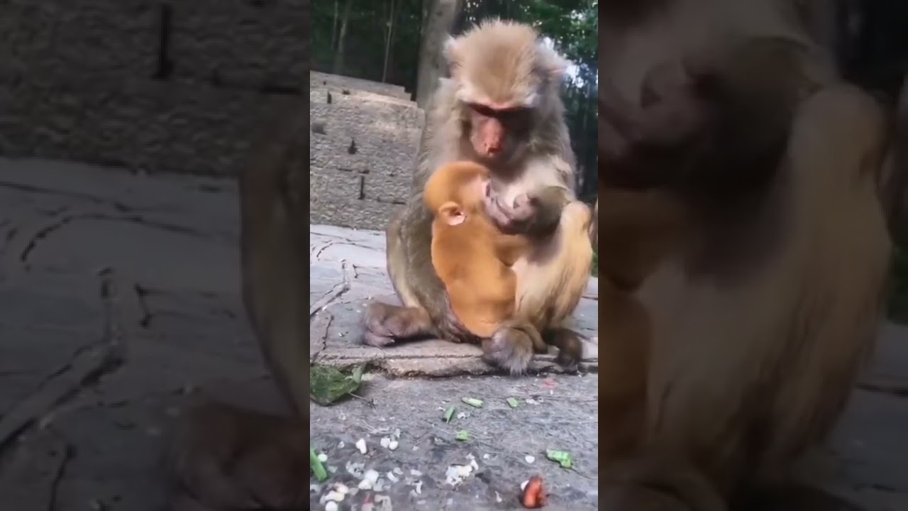 Momma reflex 🙈❤️⁣⁣