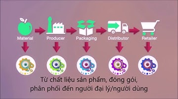 Tất Tần Tật Thông Tin Về Supply Chain (Chuỗi Cung Ứng Sản Phẩm)