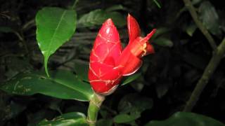 2011 05 25