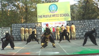 Annual Day Celebration 2020-21 | Awards Ceremony | Dance Performances | The Pestle Weed School