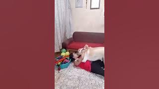 girl kiss dog enjoy #dog #viralvideo #viralshorts