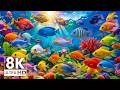 Coral Reef Paradise - Tropical Fish &amp; Ocean Sounds for Calm and Focus - 8K Video UHD 60FPS