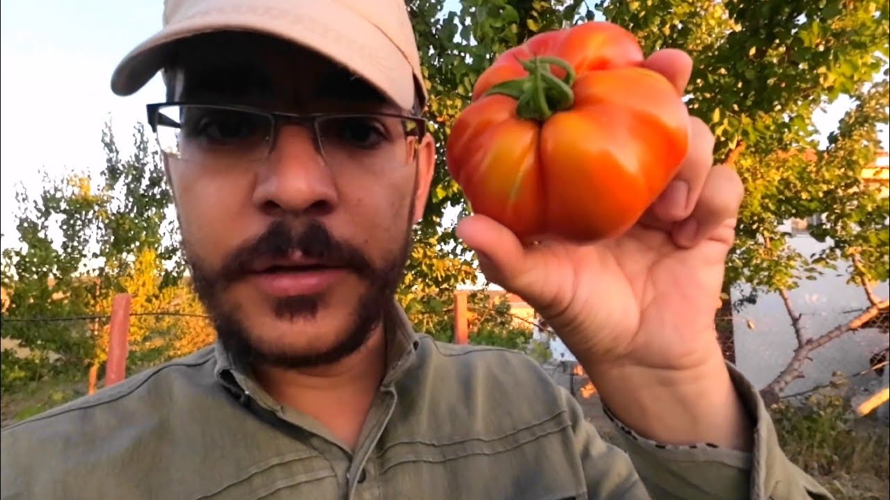 Bahçe İşleri, Köy Hayatı, Köyde Yaşam..